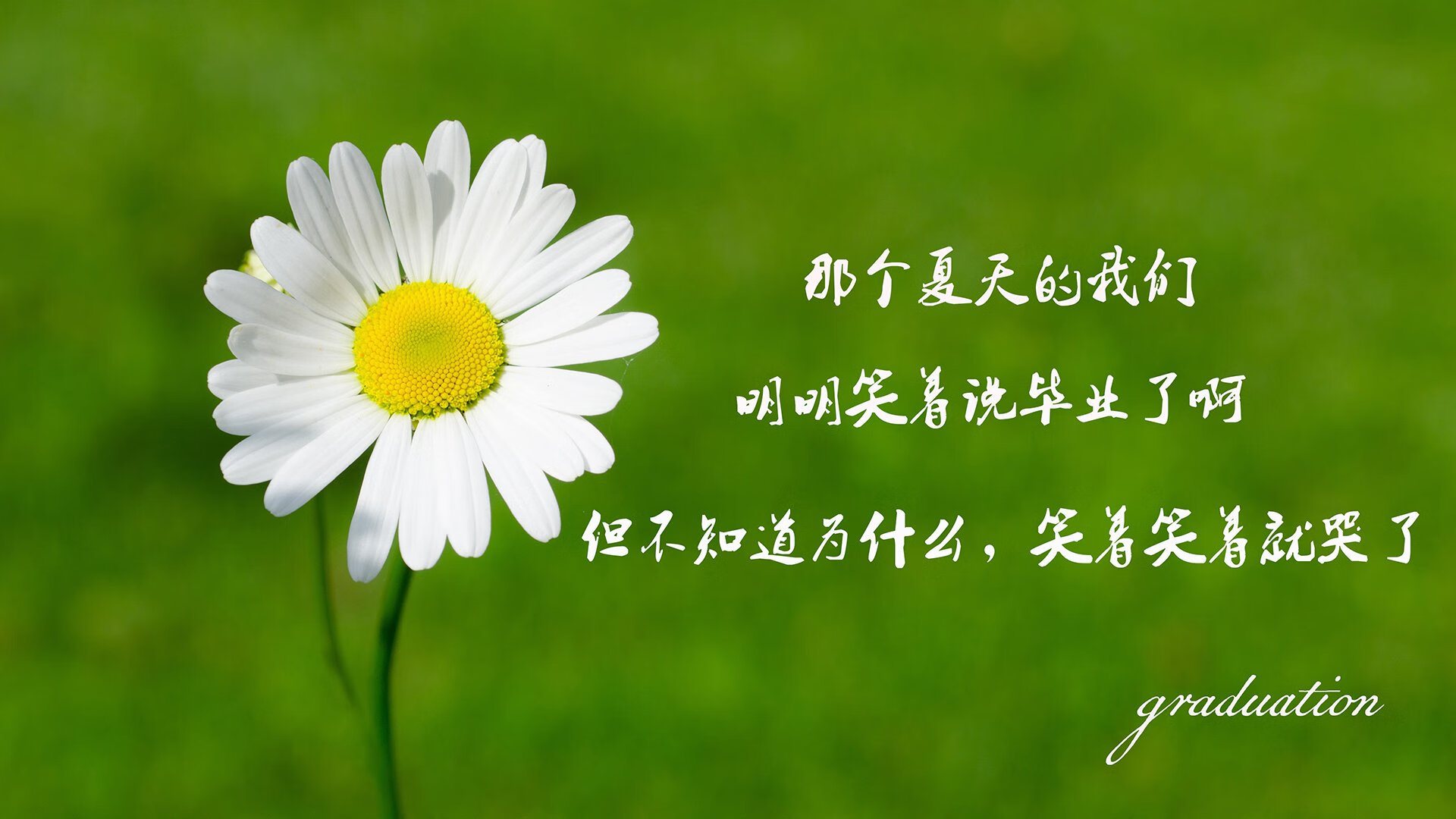 希腊男篮在欧洲锦标赛中再次夺冠，继续巩固传统豪强的地位，希腊男篮遭绝杀无缘奥运